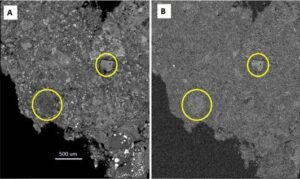 NASA Study of Pristine Meteorite Adds to Story of Ancient Asteroids