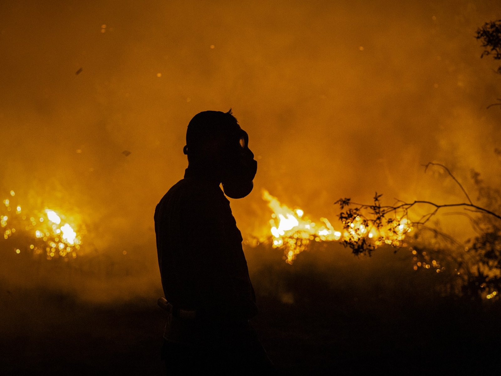 Powerful El Nino to intensify heat on ‘a planet already on fire’: UN | Climate Crisis News
