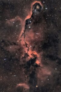 APOD: 2026 August 20 - The Elephant's Trunk in Cepheus
