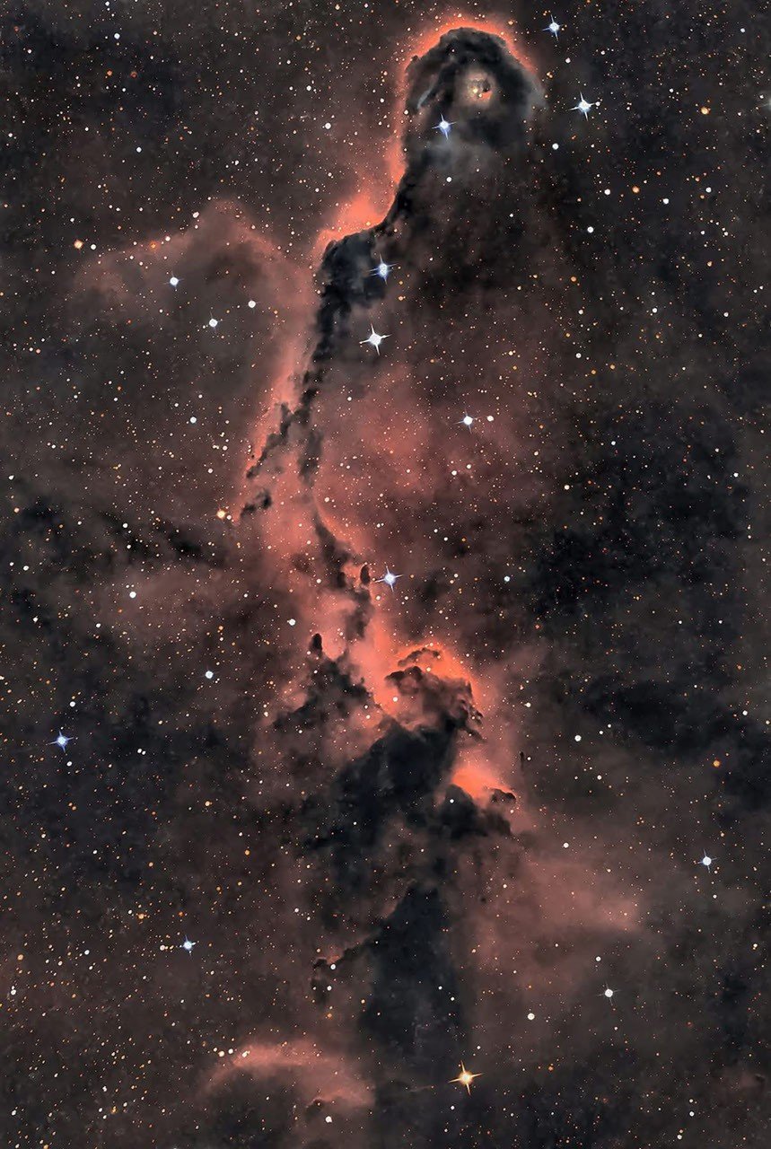 APOD: 2026 August 20 - The Elephant's Trunk in Cepheus