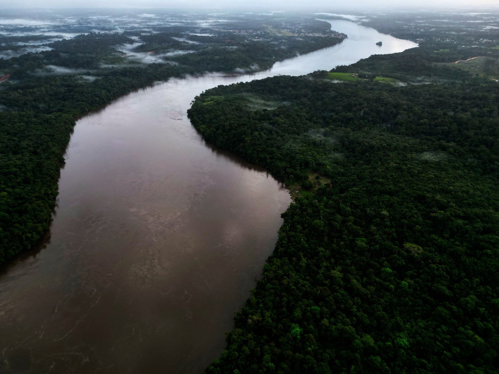 Brazil’s Supreme Court to weigh cases that could weaken Amazon protections | Climate News