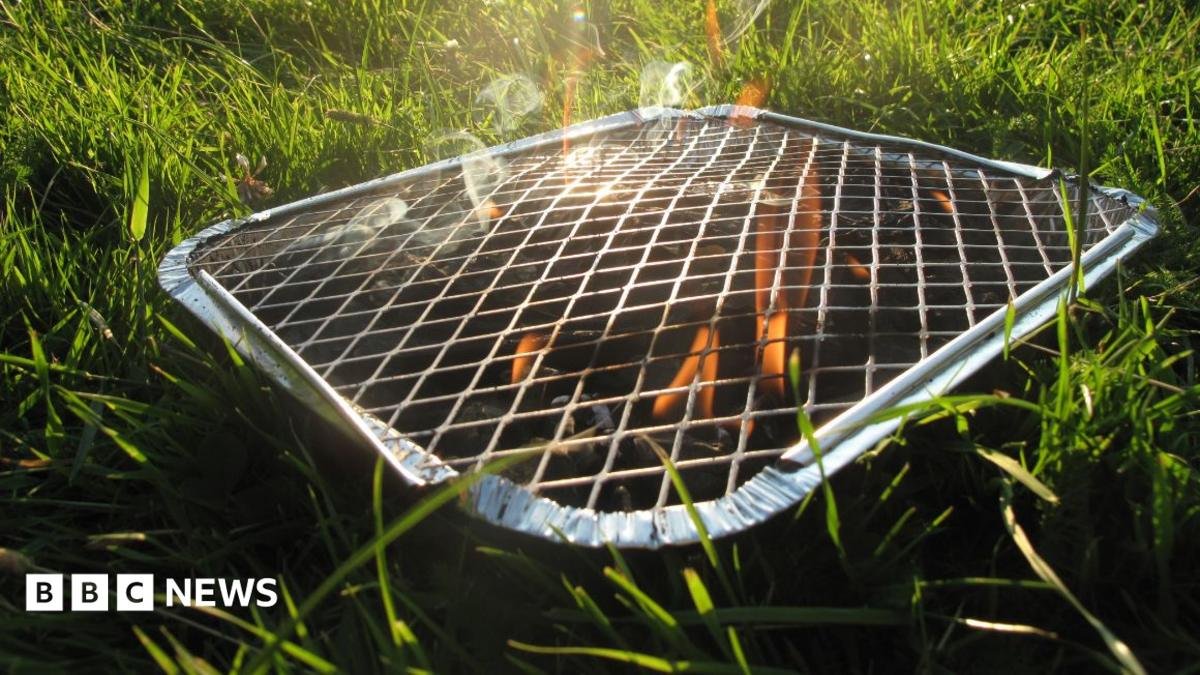 A disposable barbecue pictured in a park
