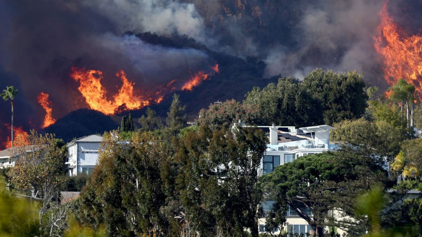 California adopts strongest landscaping rules in U.S. for wildfire risk : NPR