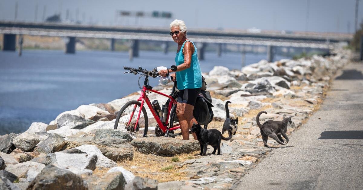 Gap in the L.A. River bike path downtown has a billion-dollar problem