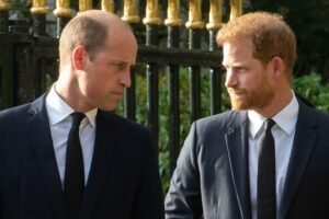 Jennie Bond: 'Prince Harry's plan to end feud will be too difficult for William to ignore'