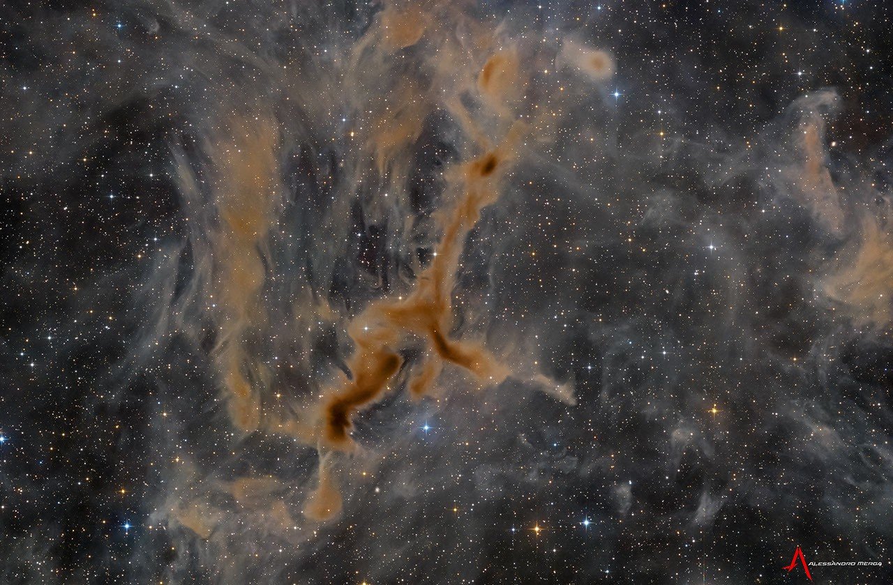APOD: 2026 September 10 - LDN 1295: The Giraffe Nebula