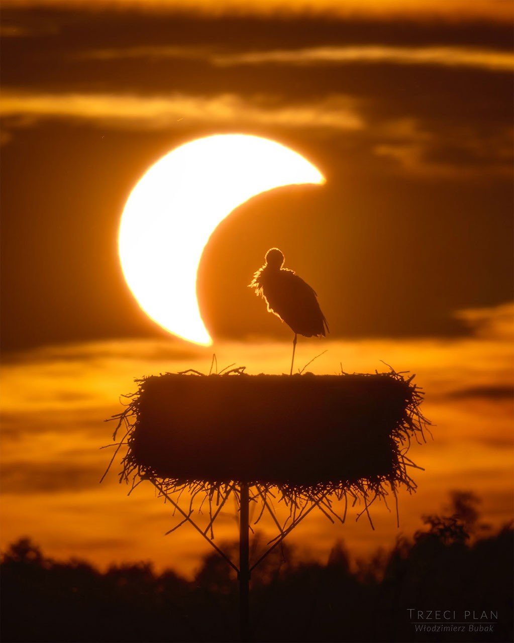 APOD: 2026 September 3 - The Eclipse and the Stork