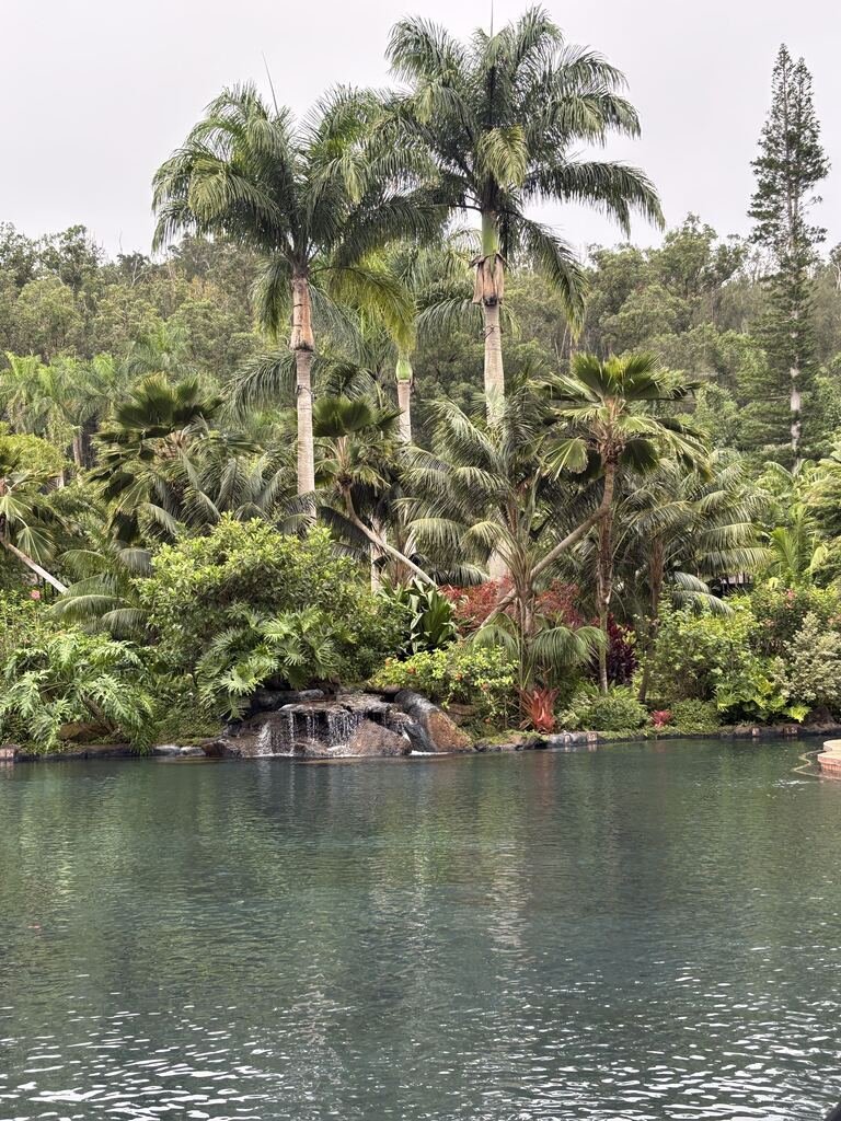 I Went to Sensei Lānaʻi to Find My Baseline