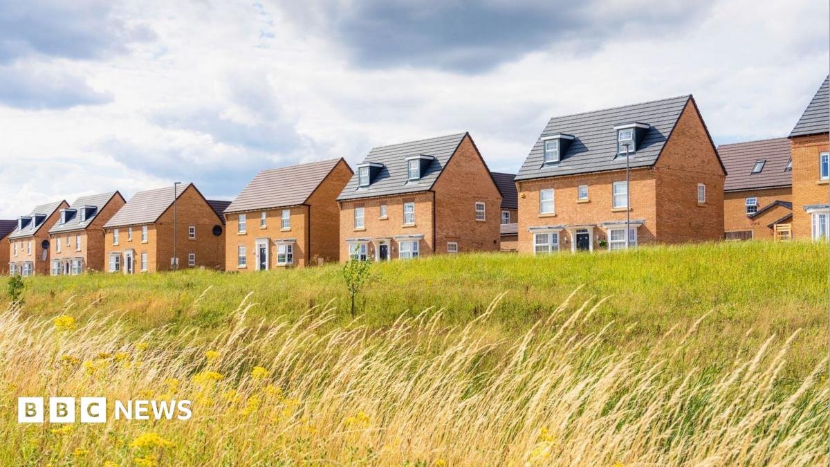 New build houses in England, next to a field