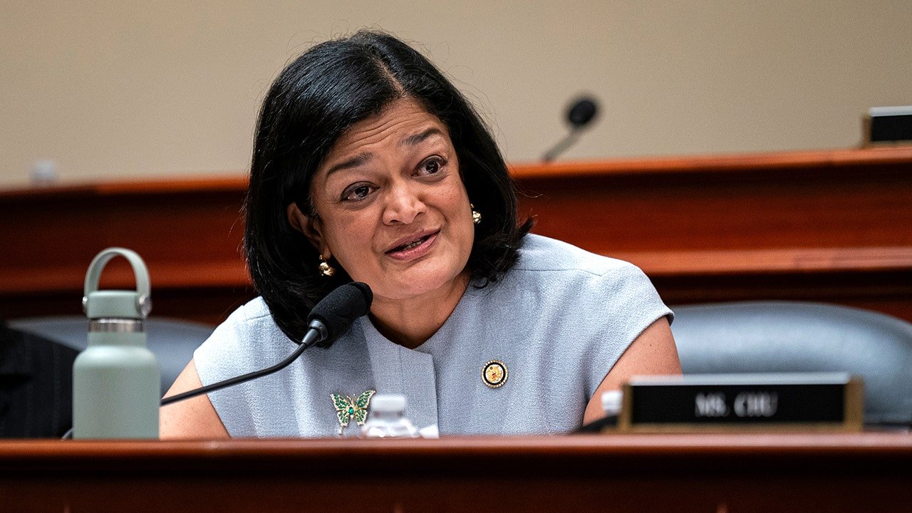 Jayapal says majority of recent DHS arrestees posed 'no threat to public safety'