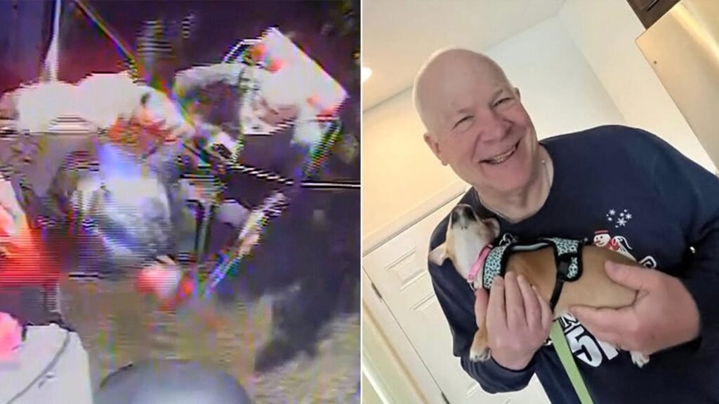 Missing hiker hoisted to safety after vanishing for a week in national park