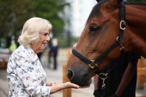 Queen Camilla returns to riding school she opened 25 years ago to visit one of late Queen's horses