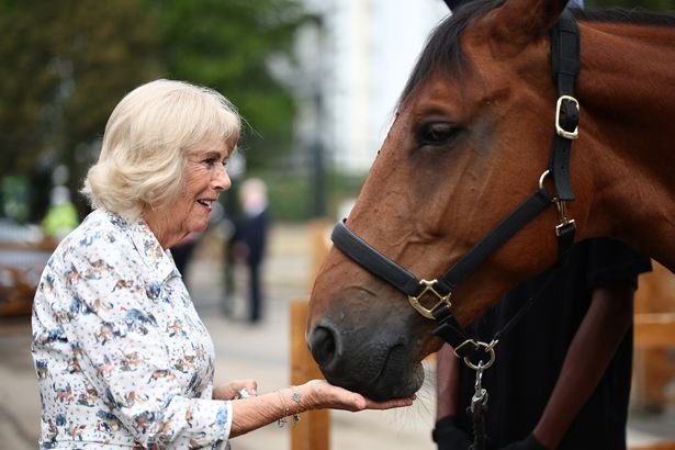 Queen Camilla returns to riding school she opened 25 years ago to visit one of late Queen's horses