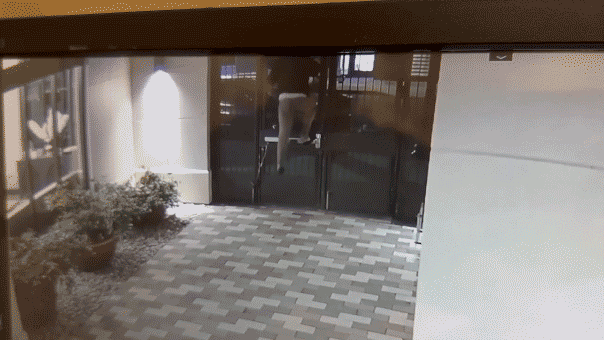 UC Berkeley student allegedly chased home on video by man police can't arrest