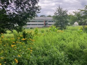 Unlocking Forest Diversity from Above: Fieldwork at Smithsonian’s BiodiversiTREE