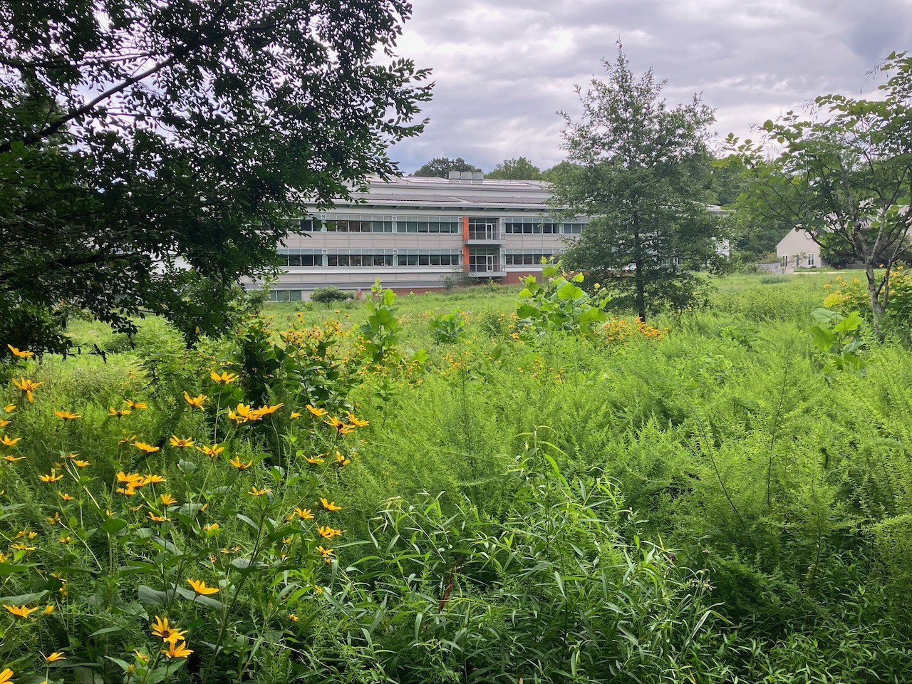 Unlocking Forest Diversity from Above: Fieldwork at Smithsonian’s BiodiversiTREE