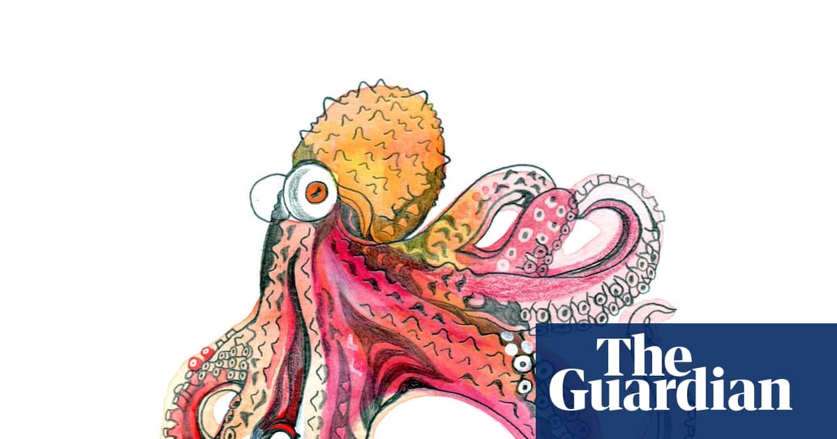 What colour is octopus’s blood and how heavy is the sky? The kids’ quiz | Family