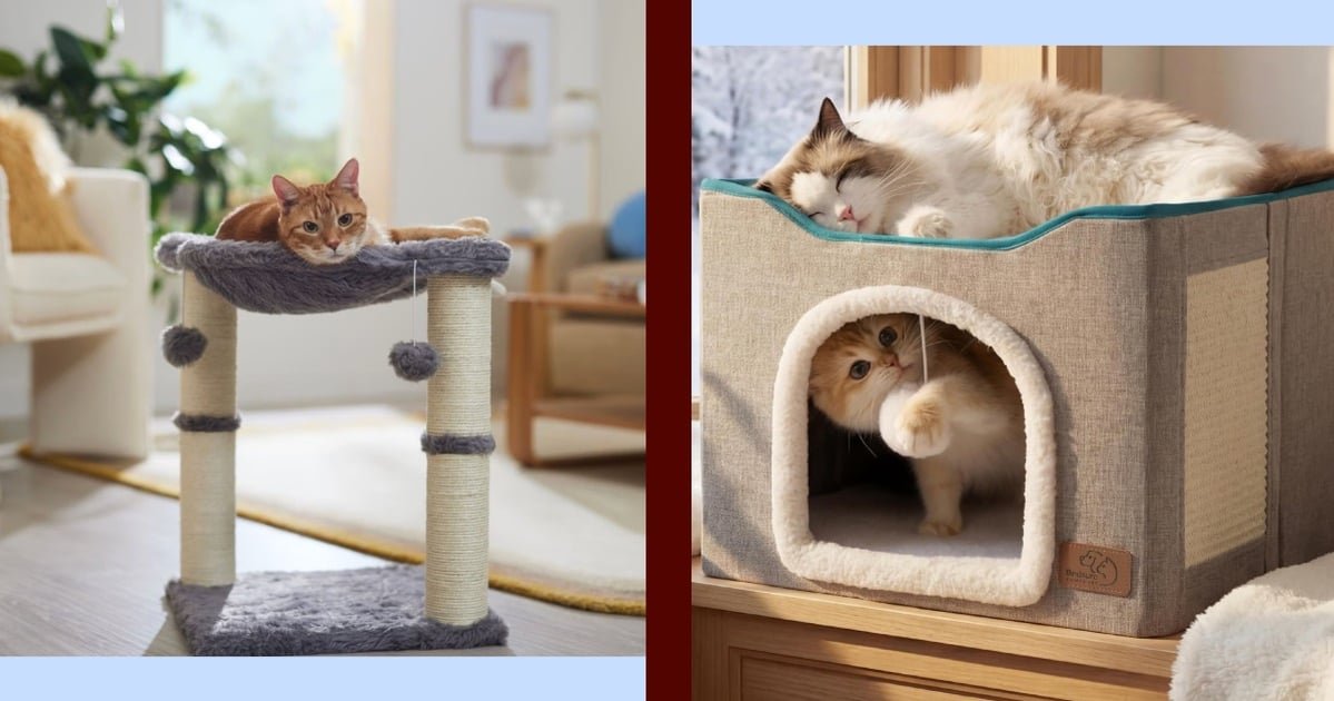 Best Gifts For Cat-Lovers, According to Three Cat Ladies