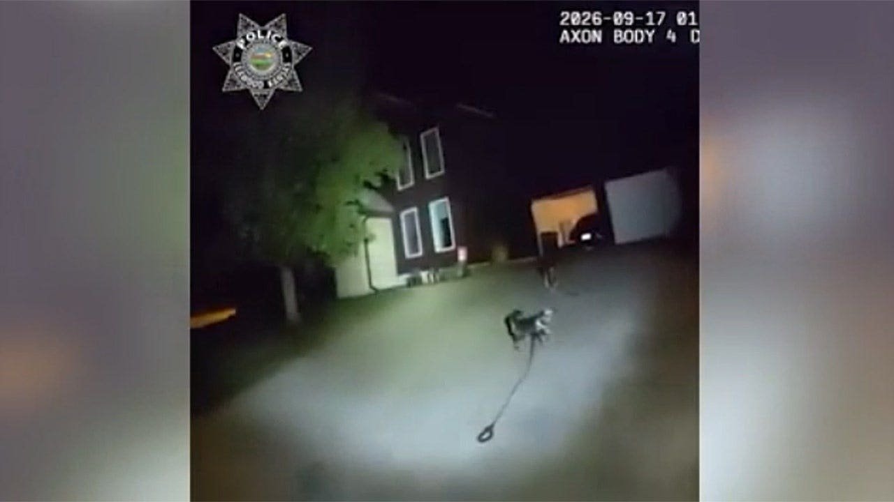 Dog praised as 'loyal companion' after leading police to owner who needed help