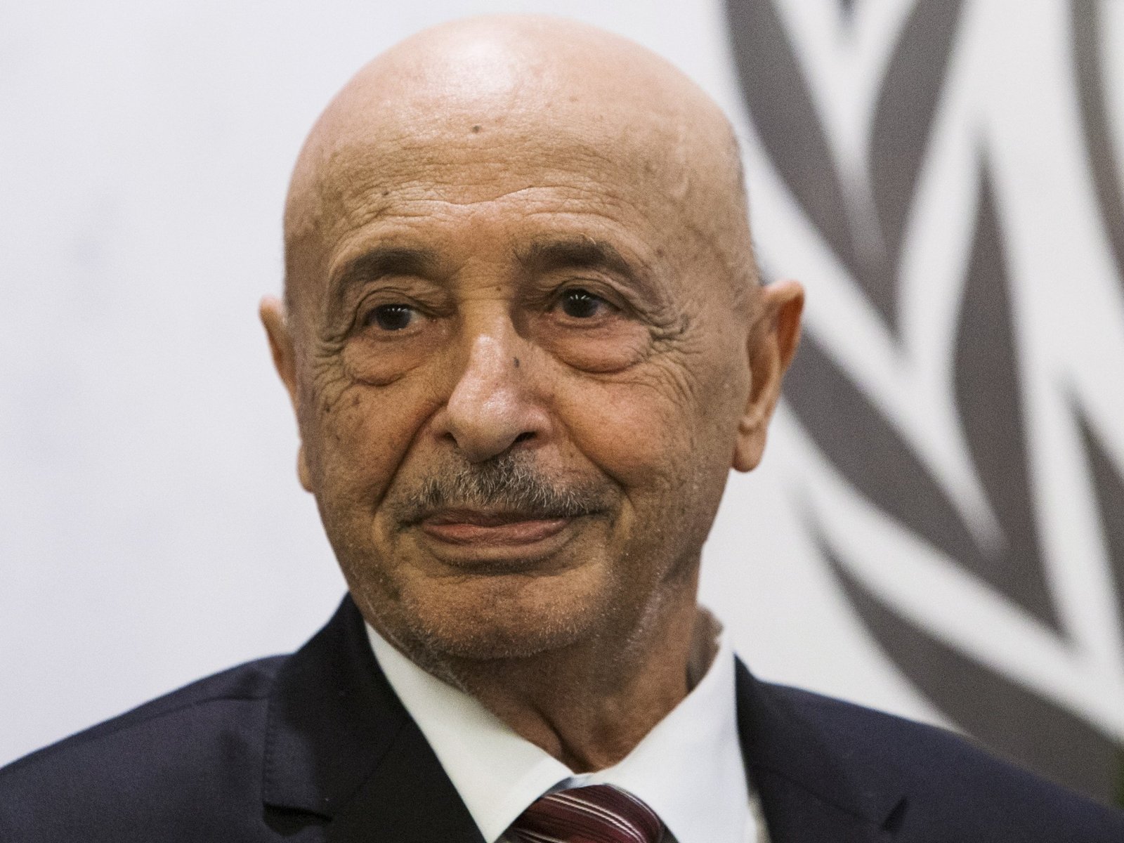 Libya’s parliament removes Speaker Saleh after 12 years as discontent grows | Conflict News
