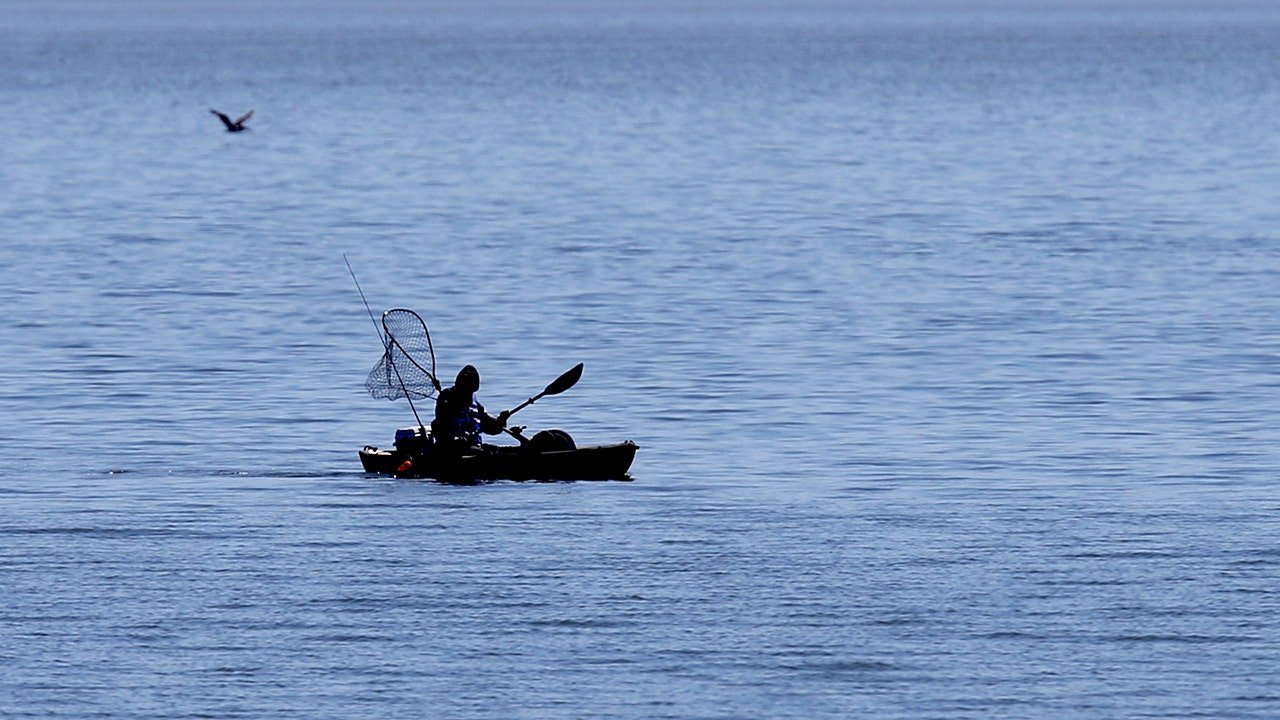 Malibu kayaker bitten twice by shark near Paradise Cove